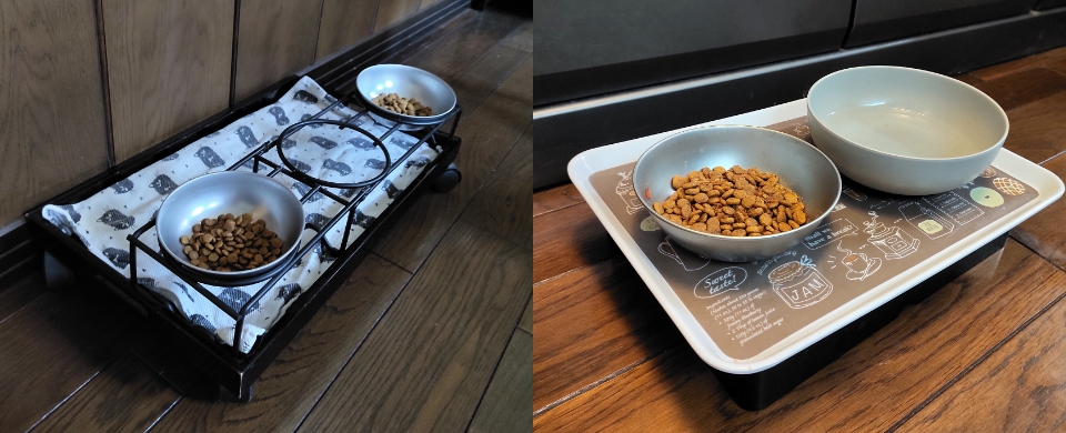 猫の食事スポット
