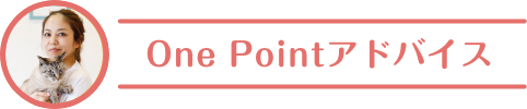 One Pointアドバイス