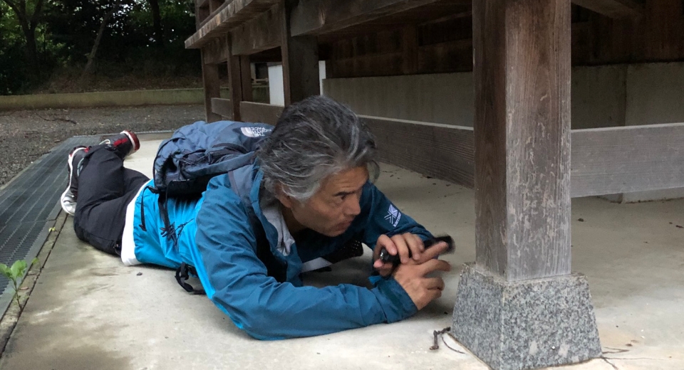 ペット探偵として猫を捜索中の藤原さん