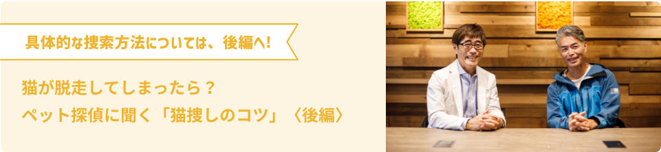 具体的な捜索方法については、後編へ!猫が脱走してしまったら？ペット探偵に聞く「猫捜しのコツ」〈後編〉