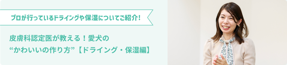プロが行っているドライングや保湿についてご紹介!皮膚科認定医が教える！愛犬の“かわいいの作り方”【ドライング・保湿編】