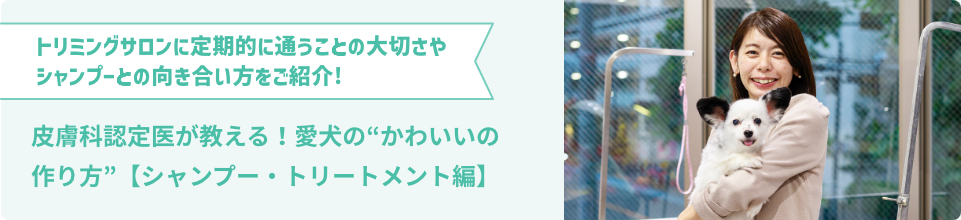 トリミングサロンに定期的に通うことの大切さやシャンプーとの向き合い方をご紹介!皮膚科認定医が教える！愛犬の“かわいいの作り方”【シャンプー・トリートメント編】
