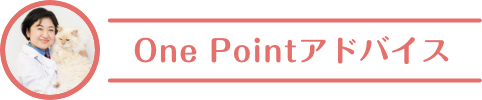 One Pointアドバイス