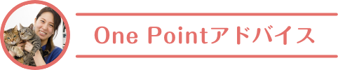 One Pointアドバイス