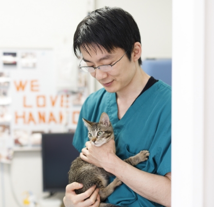 保護猫を抱っこしている男性獣医師