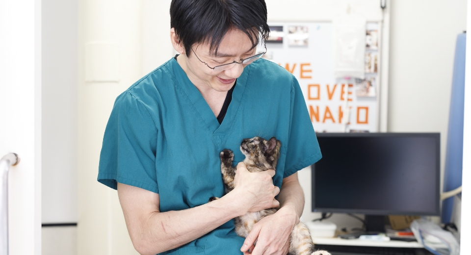 保護猫を抱っこする男性獣医師