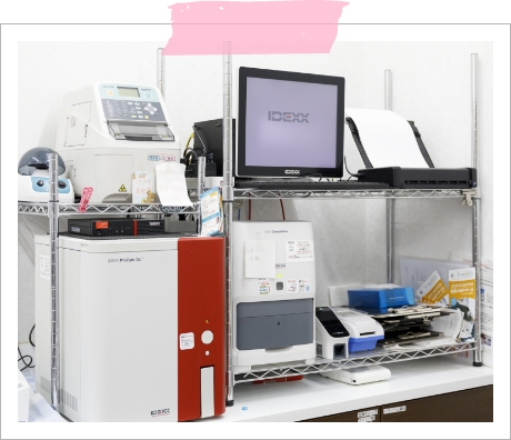 血液検査器「IDEXX」