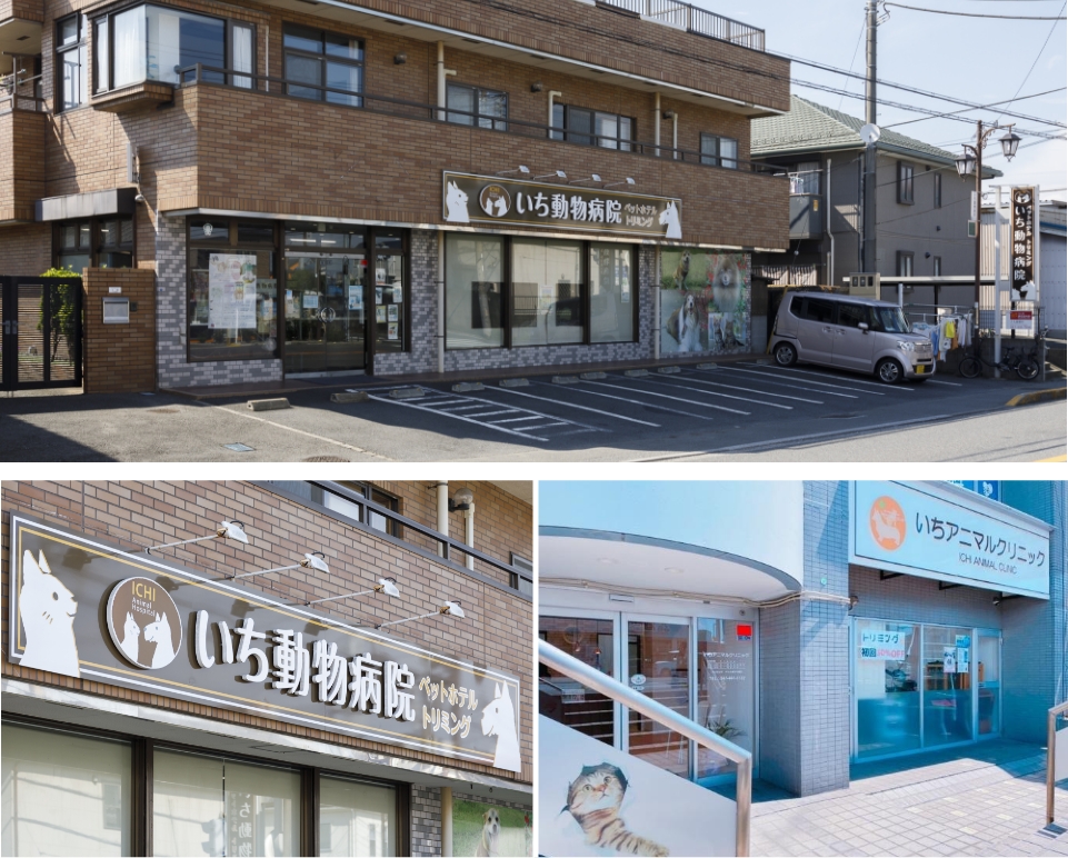 いち動物病院