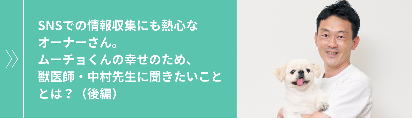 SNSでの情報収集にも熱心なオーナーさん。ムーチョくんの幸せのため、獣医師・中村先生に聞きたいこととは？（後編）