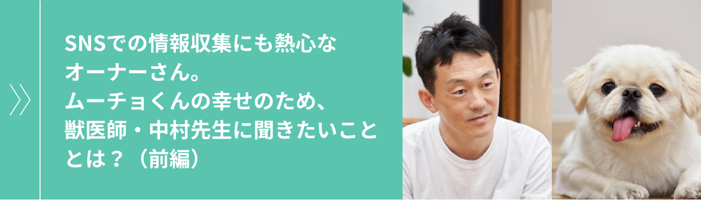 SNSでの情報収集にも熱心なオーナーさん。ムーチョくんの幸せのため、獣医師・中村先生に聞きたいこととは？（前編）