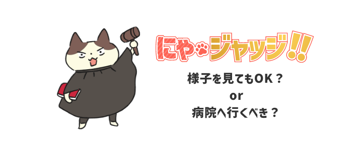 にゃ・ジャッジ!!様子を見てもOK？or病院へ行くべき？