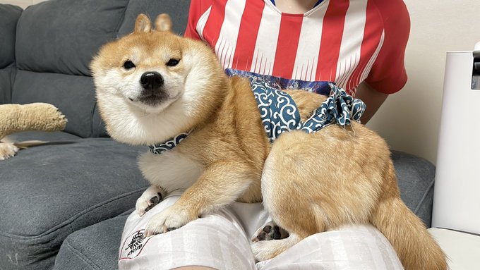 こちらを見つめるうにくん
