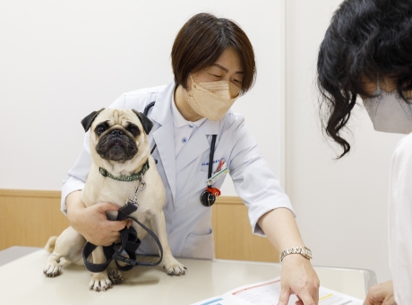 健康診断の結果を説明する獣医師