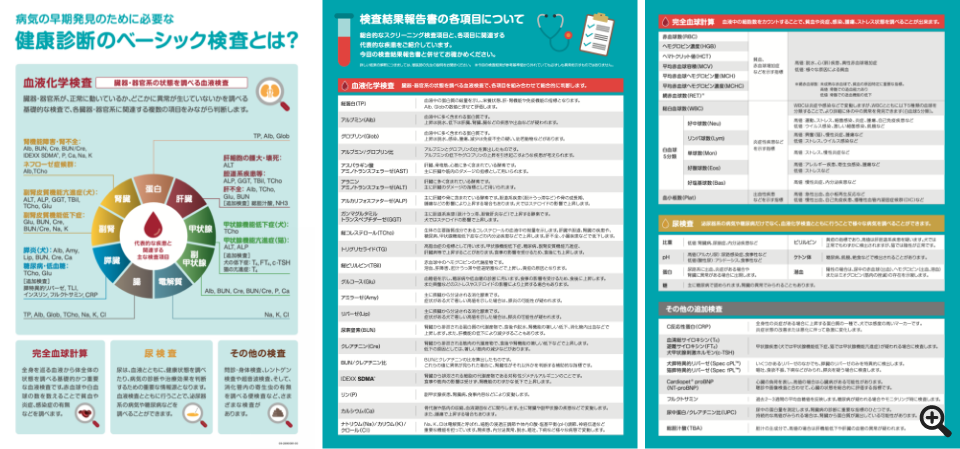 IDEXX 検査結果のご案内 リーフレットより引用
