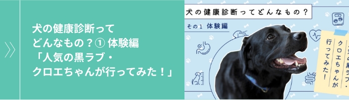 犬の健康診断ってどんなもの？① 体験編「人気の黒ラブ・クロエちゃんが⾏ってみた！」