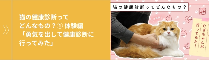 猫の健康診断ってどんなもの？① 体験編「勇気を出して健康診断に行ってみた」