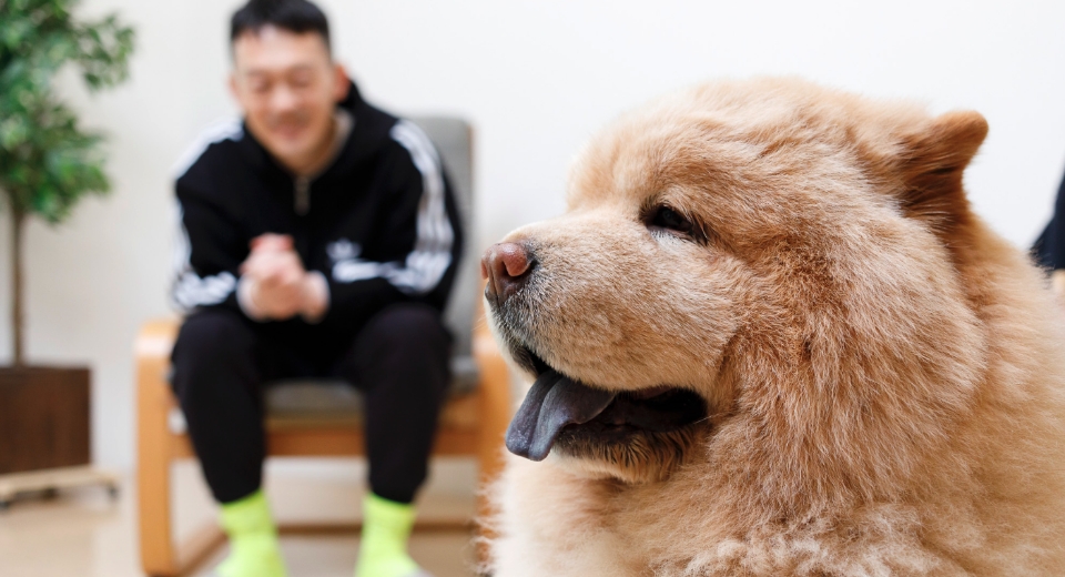 獣医師・中村先生の話に耳を傾けるチャウチャウのくり蔵くん