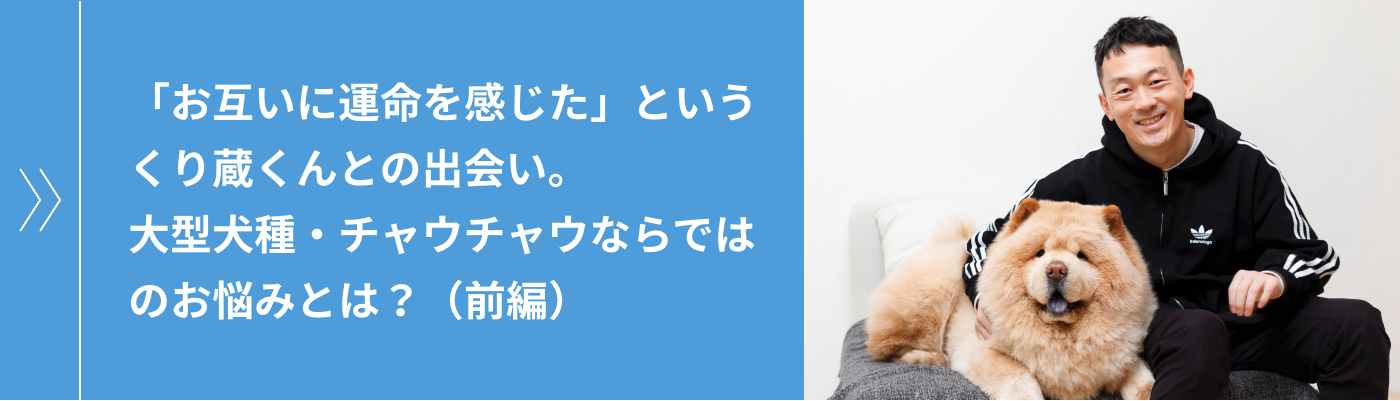 「お互いに運命を感じた」というくり蔵くんとの出会い。大型犬種・チャウチャウならではのお悩みとは？（前編）