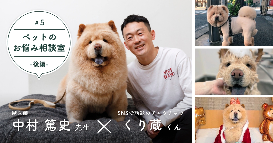 お互いに運命を感じた」というくり蔵くんとの出会い。大型犬種 ..., 画像サイズ:1080x566