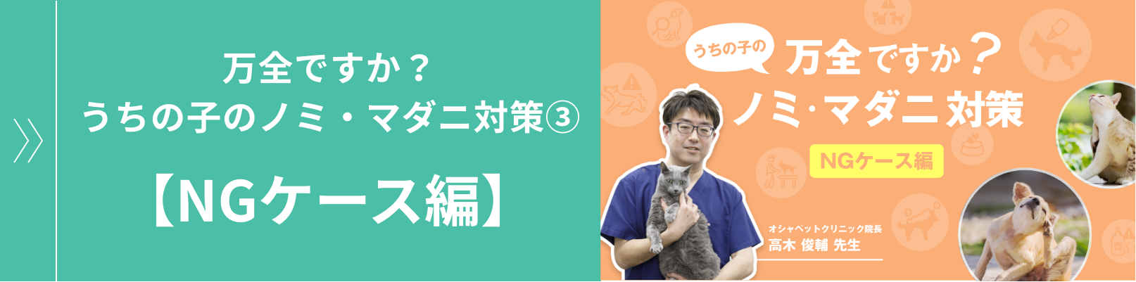 万全ですか?うちの子のノミ・マダニ対策③【NGケース編】