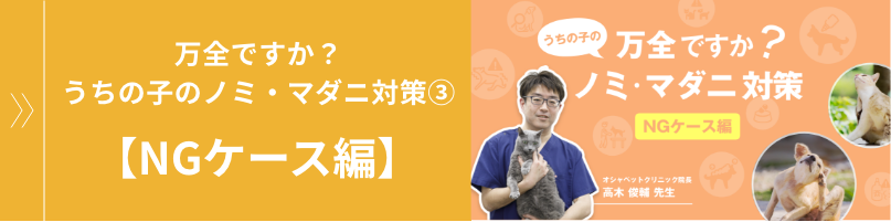 万全ですか?うちの子のノミ・マダニ対策③【NGケース編】