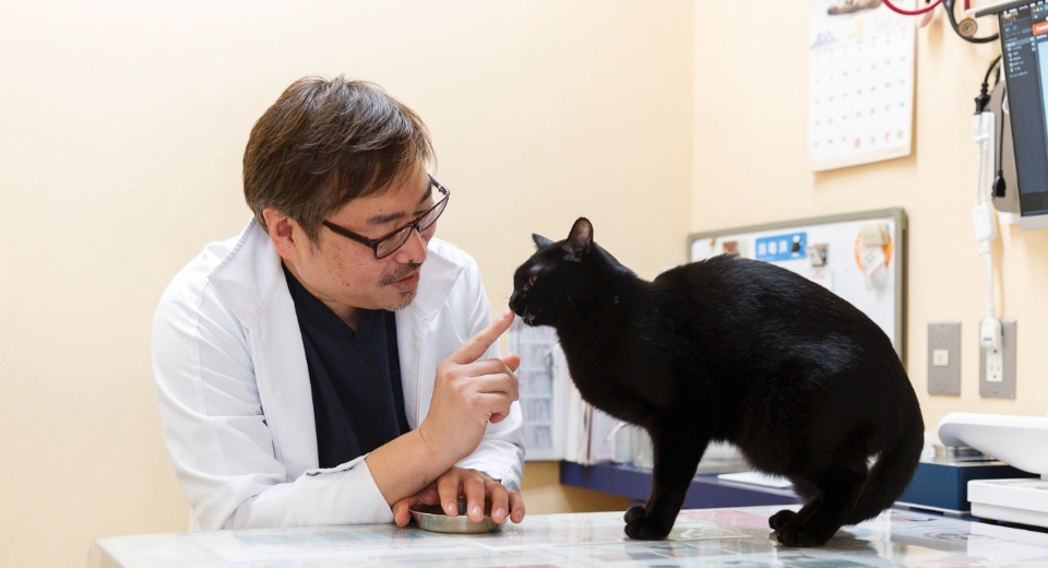 東山獣医師と黒猫