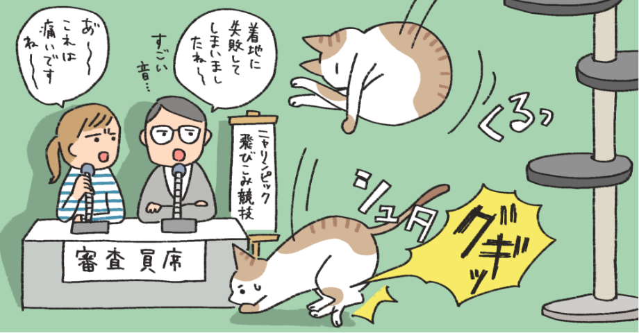 キャットタワーからの着地に失敗するネコ