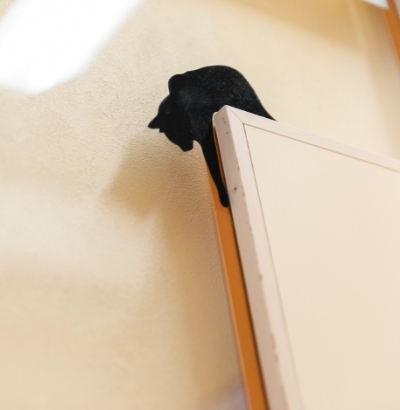 高いところに上っている黒猫