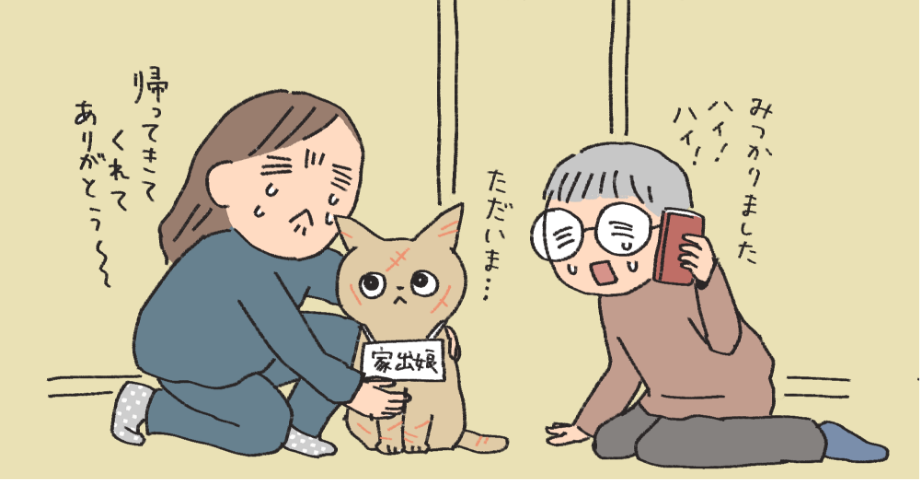 家出した猫が帰ってきた様子