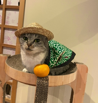 ちゃんちゃんこを羽織るサバ身