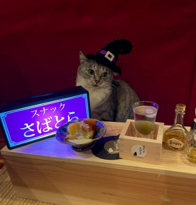 『スナックさばとら』のママ・サバ身