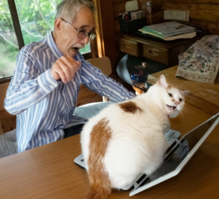 PCに乗ってるメイちゃんを撫でたら、噛まれてしまうMARCOパパ