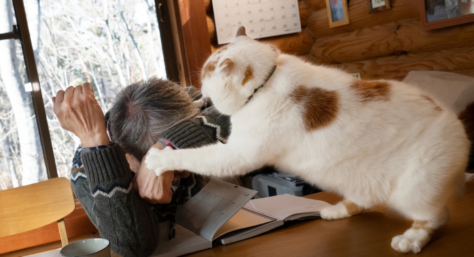 書き物をしているお父様に、強烈なパンチを繰り出すメイ