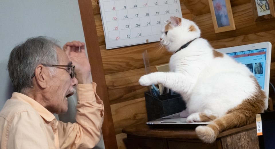 メイちゃんのパンチを受けるお父様