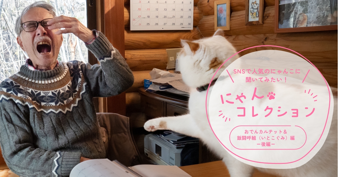 おでんカルテット＆飯闘呼組（いとこぐみ）編＞「猫同士の箱争いや、父