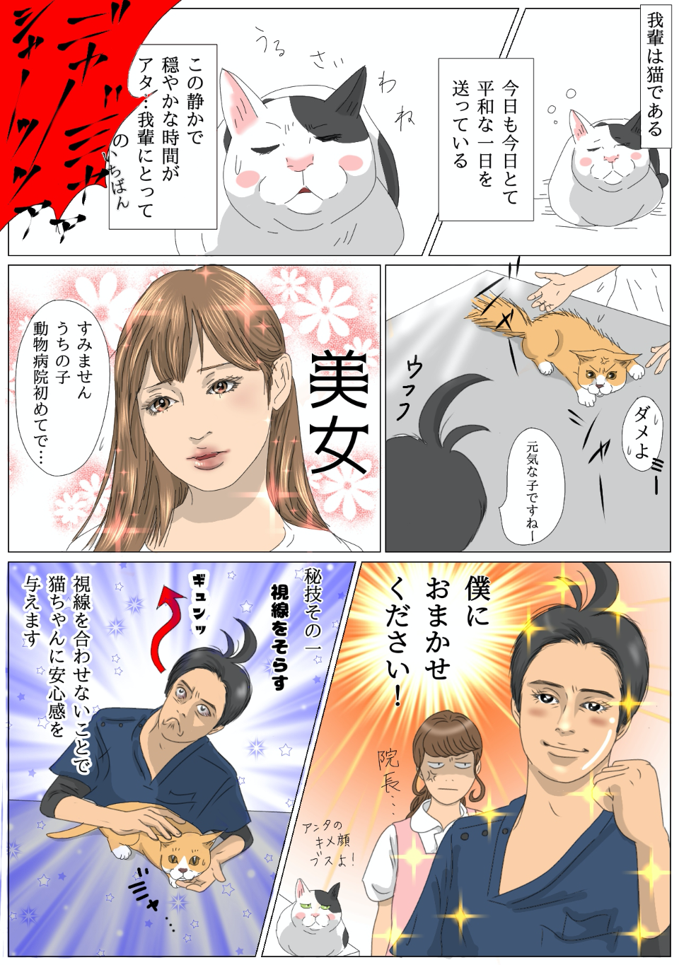 嫌がる猫を連れてくるには?嫌がる猫ちゃんへの秘儀4つ!?