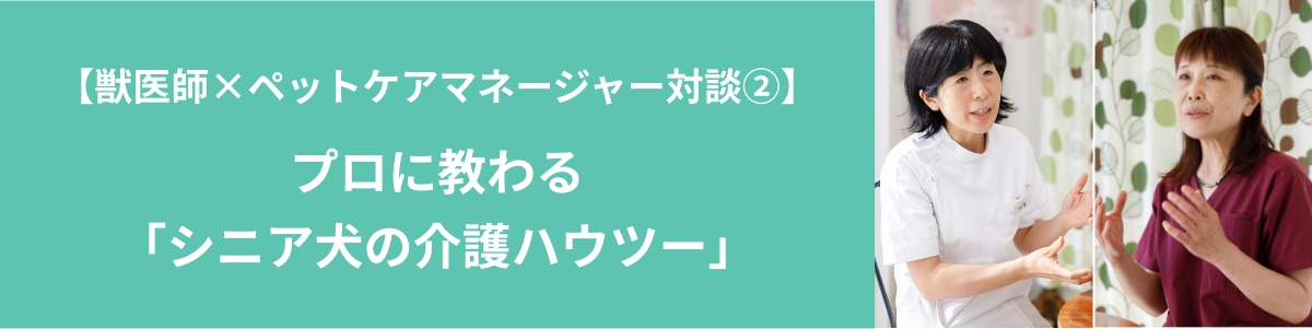 【獣医師×ペットケアマネージャー対談②】プロに教わる「シニア犬の介護ハウツー」