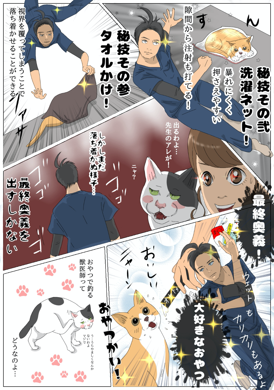 嫌がる猫を連れてくるには?嫌がる猫ちゃんへの秘儀4つ!?