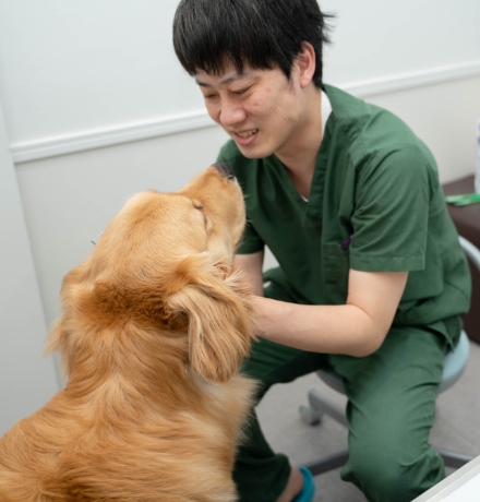 ゴールデンレトリーバーのつぶくんをなでる獣医師の本田 耕一 先生