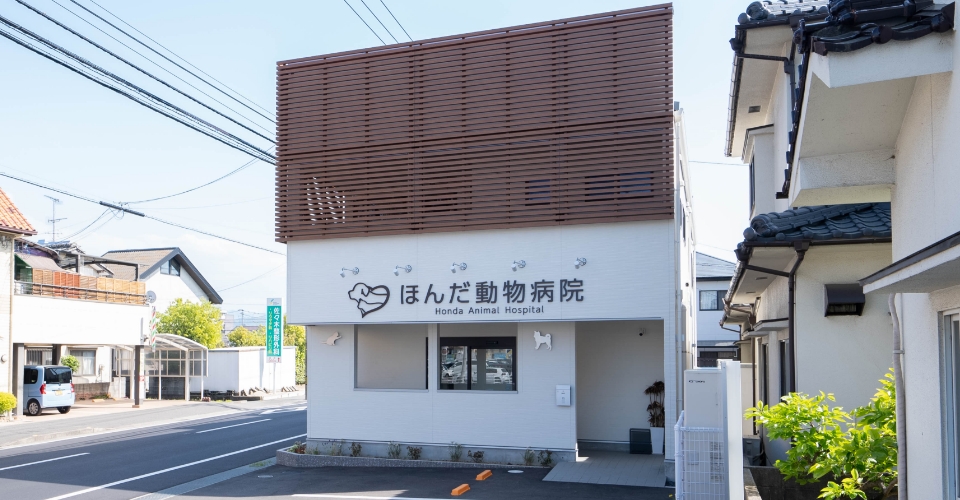 ほんだ動物病院