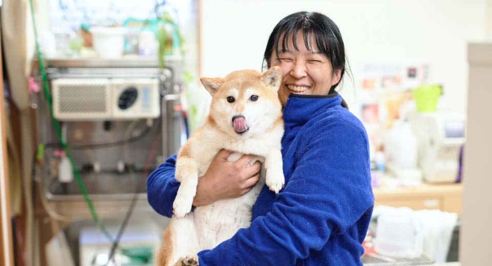 飼い主に抱っこされ鼻をなめている柴犬
