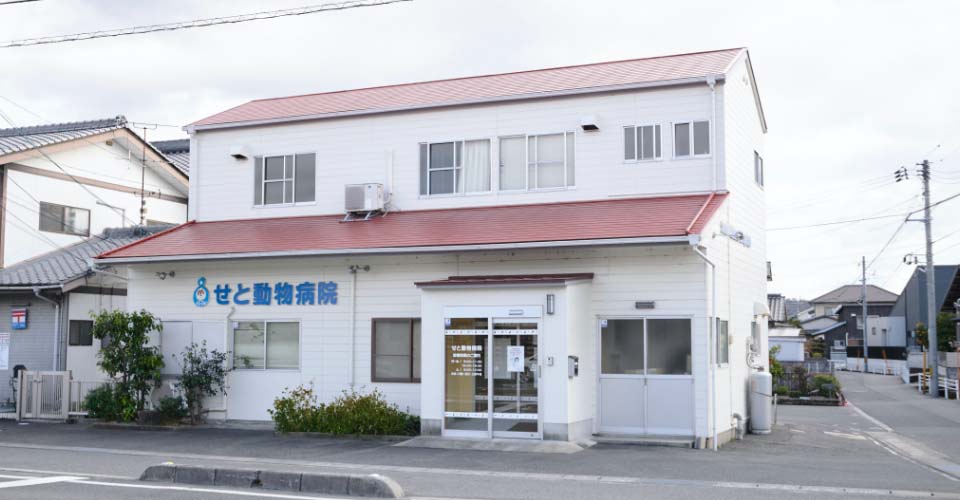 せと動物病院