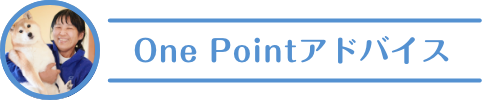 One Pointアドバイス