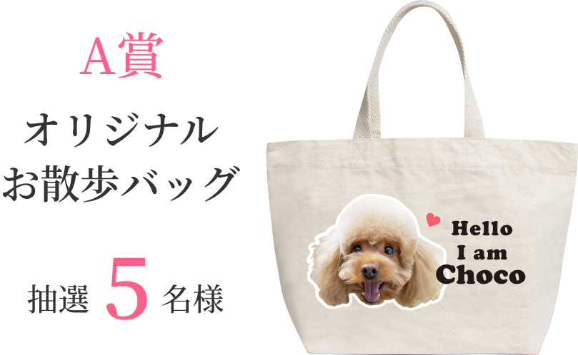 A賞 オリジナルお散歩バッグ 抽選5名様