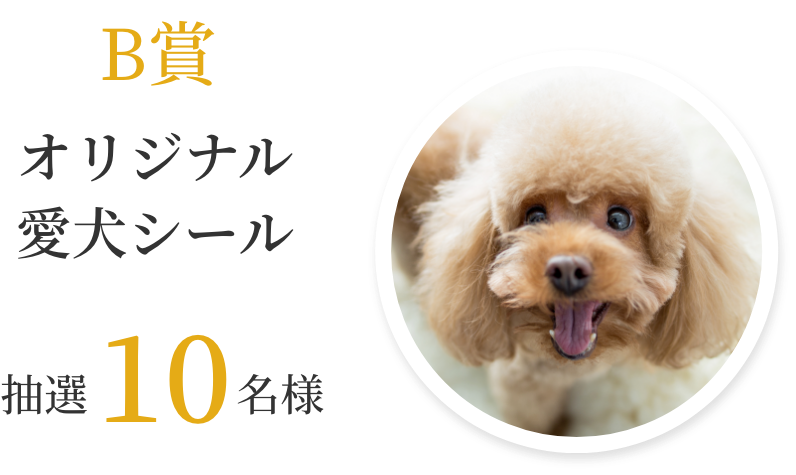 B賞 オリジナル愛犬シール 抽選10名様
