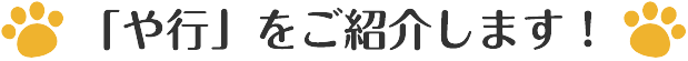 「や行」をご紹介します！